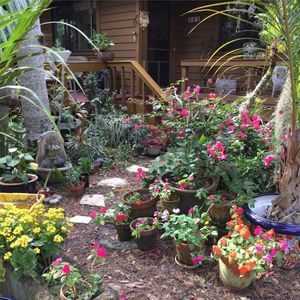 Meet your Posher, Allene